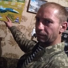 Лев