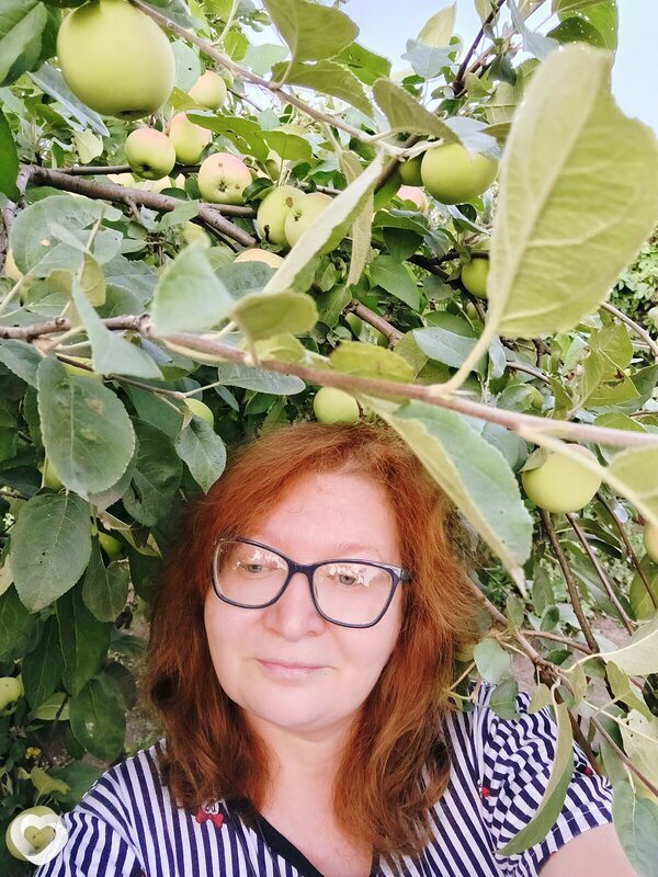 Снежа
