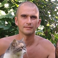 Миша