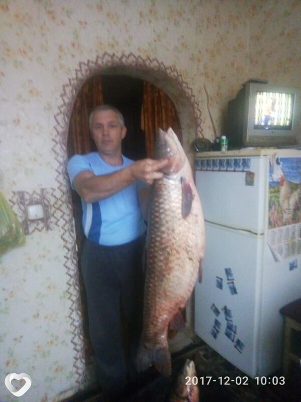 Сёма