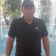 Платоша
