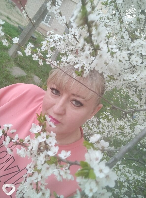 Вита