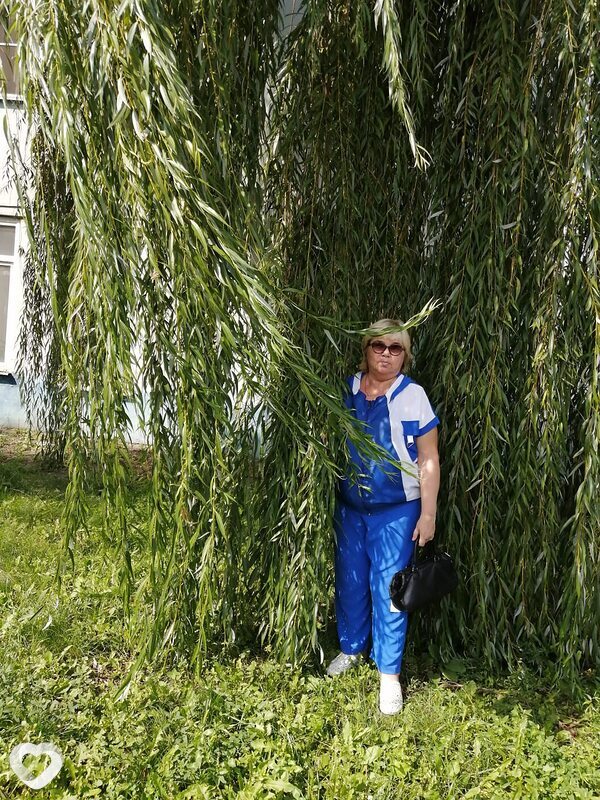 Роза