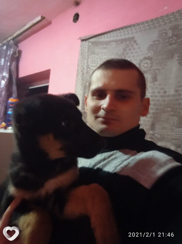 Давидик