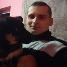 Давидик