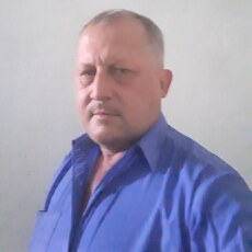 Тим