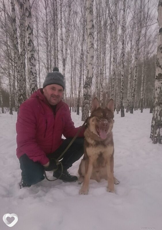 Альбик