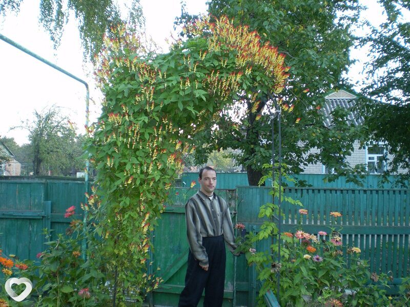 Кирилл