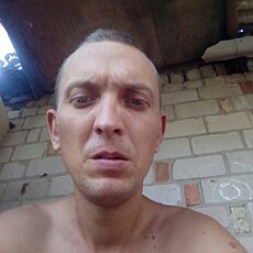 Давид