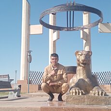 Давид