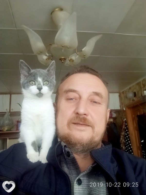 Давидик