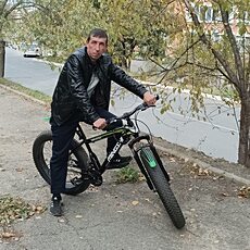 Тим