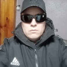 Платоша