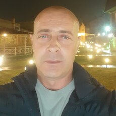 Всеволод