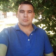Альбик