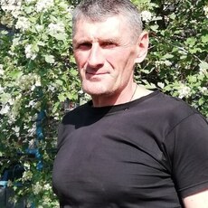 Нестор