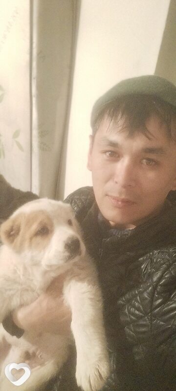 Донат