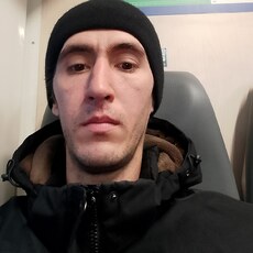 Стёпа
