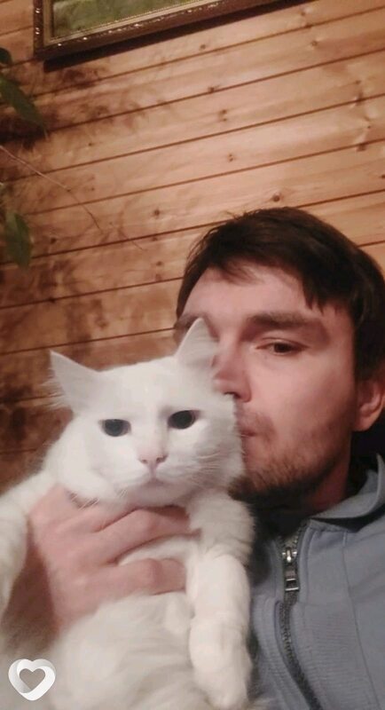 Тим