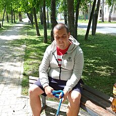 Стёпа