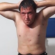 Тим