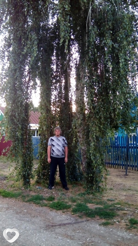 Вася