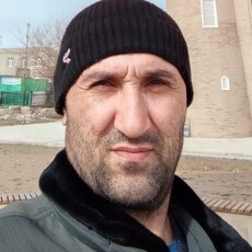 Лев