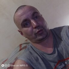 Альбик