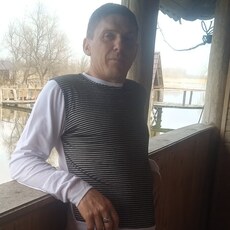 Альбик