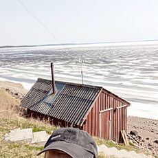 Давид