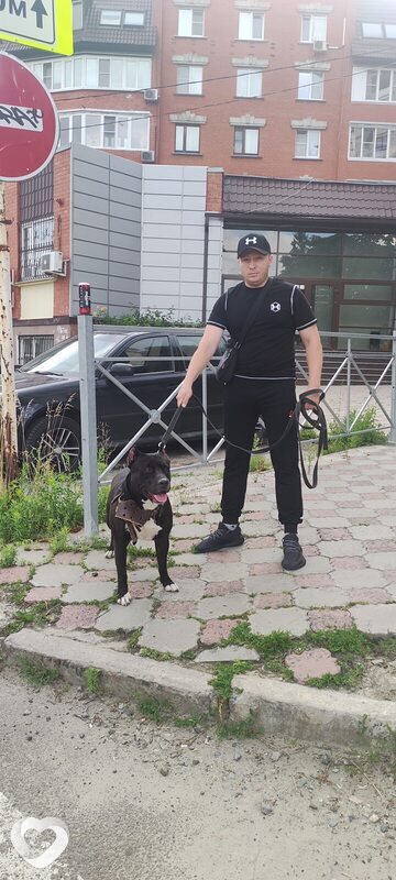 Кир