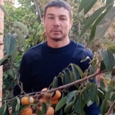 Давидик