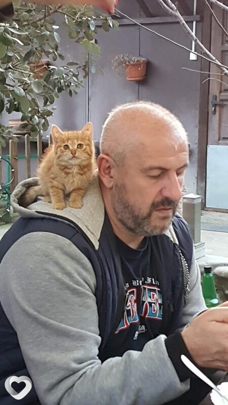 Кирилл