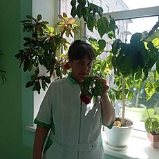 Алиса