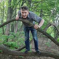 Демьян