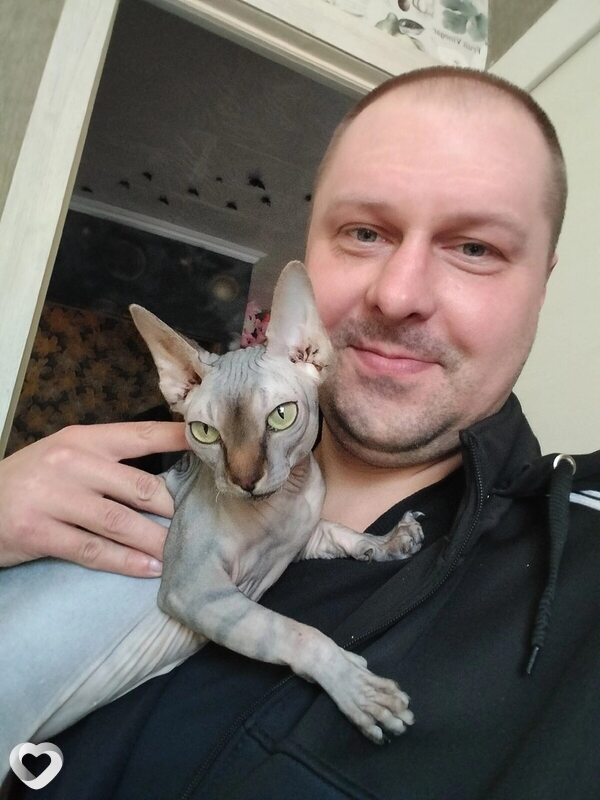 Платон