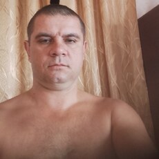 Всеволод