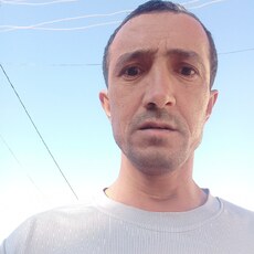 Нестор