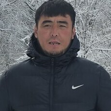 Лев