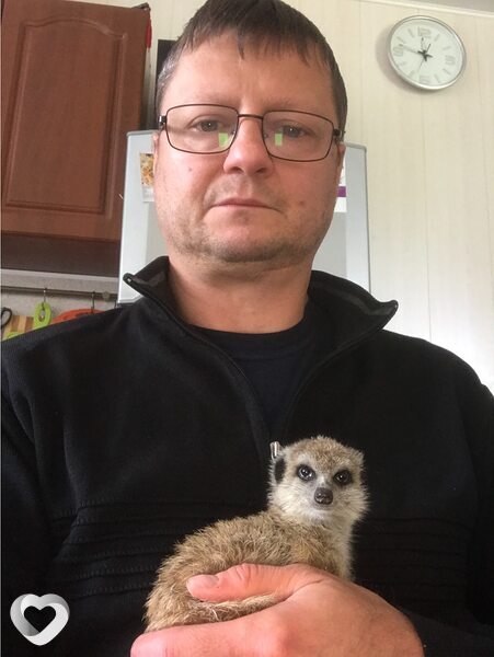 Платоша