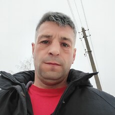 Тарас