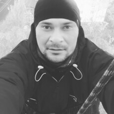 Всеволод