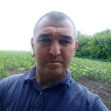 Тарас