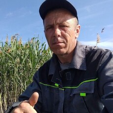 Аркадий