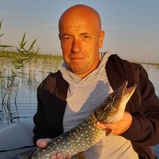 Свят