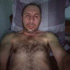 Ян