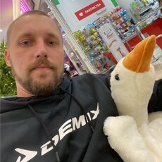 Тим