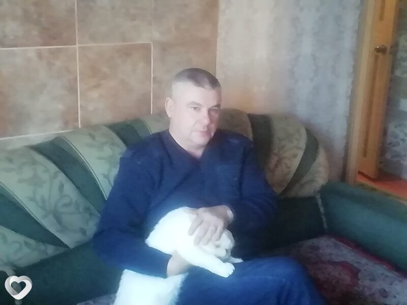 Платон