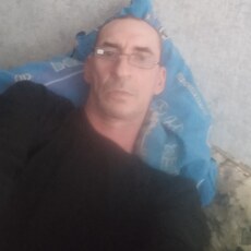 Лев