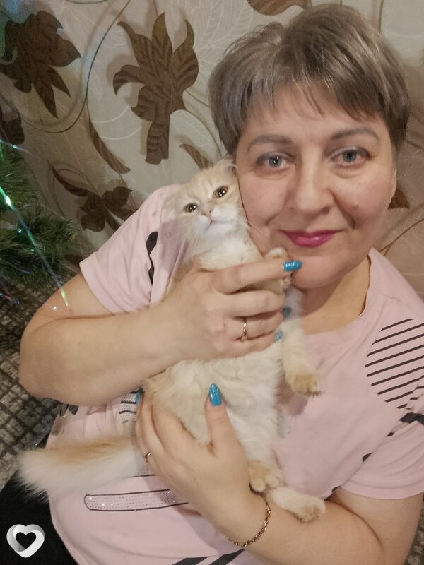 Лина